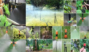 BÉC TƯỚI PHUN SƯƠNG LÀ GÌ? CÁC LOẠI BÉC TƯỚI PHUN SƯƠNG THƯỜNG GẶP