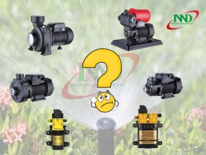 HƯỚNG DẪN CHỌN BƠM TƯỚI VƯỜN LAN THEO DIỆN TÍCH VƯỜN