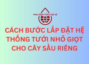 CÁCH BƯỚC LẮP ĐẶT HỆ THỐNG TƯỚI NHỎ GIỌT CHO CÂY SẦU RIÊNG