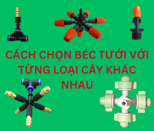 CÁCH CHỌN BÉC TƯỚI VỚI TỪNG LOẠI CÂY KHÁC NHAU