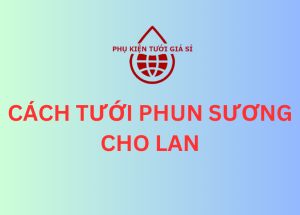 CÁCH TƯỚI PHUN SƯƠNG CHO LAN