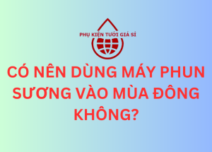 CÓ NÊN DÙNG MÁY PHUN SƯƠNG VÀO MÙA ĐÔNG KHÔNG?