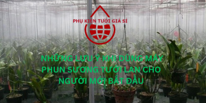 NHỮNG LƯU Ý KHI DÙNG MÁY PHUN SƯƠNG TƯỚI LAN CHO NGƯỜI MỚI BẮT ĐẦU