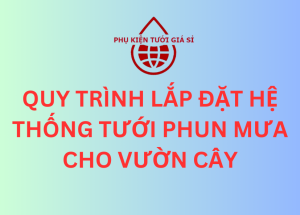 QUY TRÌNH LẮP ĐẶT HỆ THỐNG TƯỚI PHUN MƯA CHO VƯỜN CÂY
