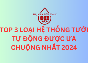 TOP 3 LOẠI HỆ THỐNG TƯỚI TỰ ĐỘNG ĐƯỢC ƯA CHUỘNG NHẤT 2024