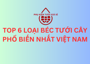 TOP 6 LOẠI BÉC TƯỚI CÂY PHỔ BIẾN NHẤT VIỆT NAM
