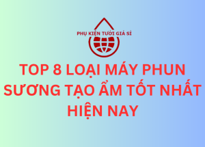 TOP 8 LOẠI MÁY PHUN SƯƠNG TẠO ẨM TỐT NHẤT HIỆN NAY