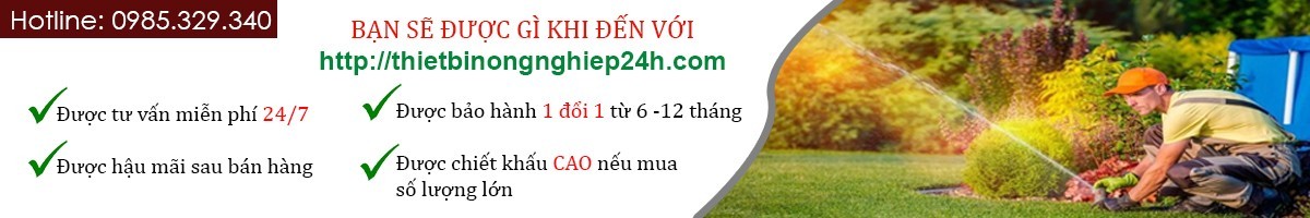 Quảng cáo 2