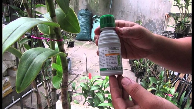 mach ban mot so loai thuoc phong tru nam benh cho vuon lan 1